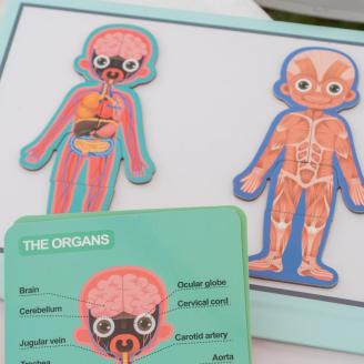 ViDRa Dr. rendelt a Szívünk Napja eseményén