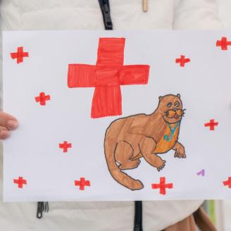 ViDRa Dr. rendelt a Szívünk Napja eseményén